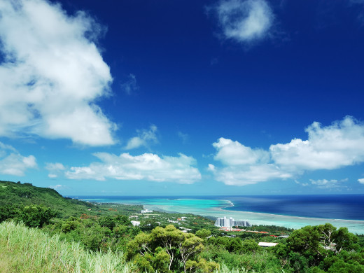 49569 (a): :1600x1200
